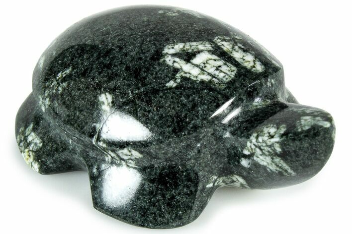 Carved Chinese Writing Rock Turtle - Australia #308496